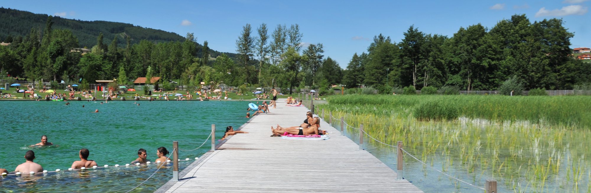 Lire la suite à propos de l’article La piscine biologique du Lac des Sapins